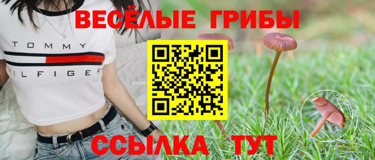 Псилоцибиновые грибы Cubensis  Вход с VPN  Славянск-на-Кубани 