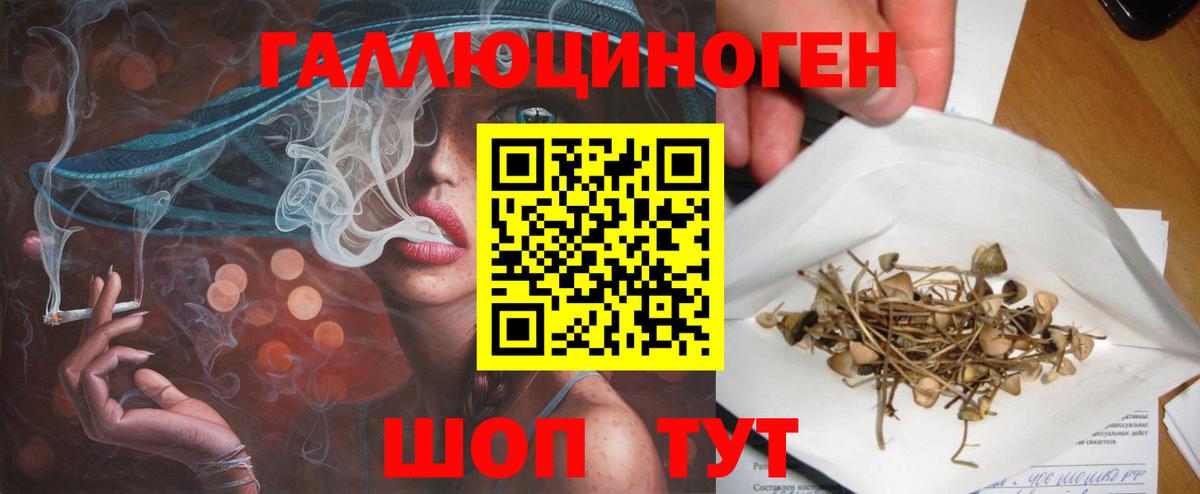 Галлюциногенные грибы Magic Shrooms Славянск-на-Кубани